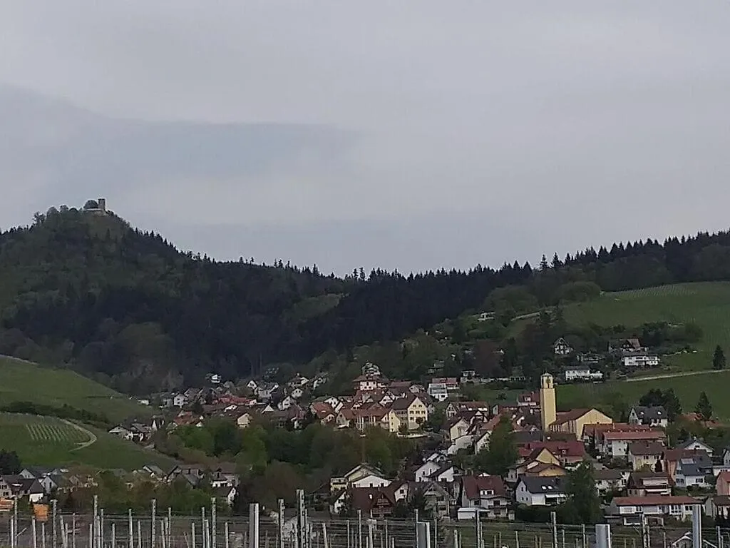 Holiday Apartment Kastanienhalde Baden-Baden 0*,